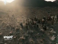 کشتن این شخص شقاوتی میخواهد که در ما نیست