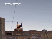 استوری محسن چاوشی به‌مناسبت شهادت امام رضا(ع)