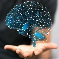 ۲ طرح راهبردی و زیرساختی در مسیر تحقق اهداف ملی در حوزه علوم شناختی