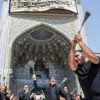 عکس/ ​​​​​​​عزاداری ۲۸ صفر در حرم امام رضا (ع) 