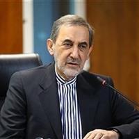 ولایتی: پزشکان نگهبانان سلامت و همراه ملت در سخت‌ترین شرایط‌اند