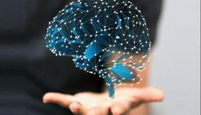 ۲ طرح راهبردی و زیرساختی در مسیر تحقق اهداف ملی در حوزه علوم شناختی
