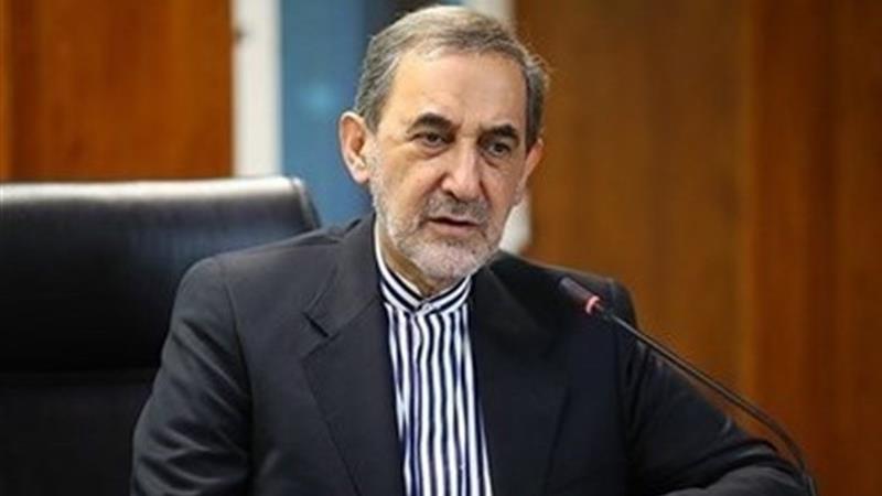ولایتی: پزشکان نگهبانان سلامت و همراه ملت در سختترین شرایطاند
