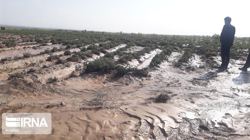 کاهش ۸۶ درصدی خسارت حوادث طبیعی در خراسانشمالی