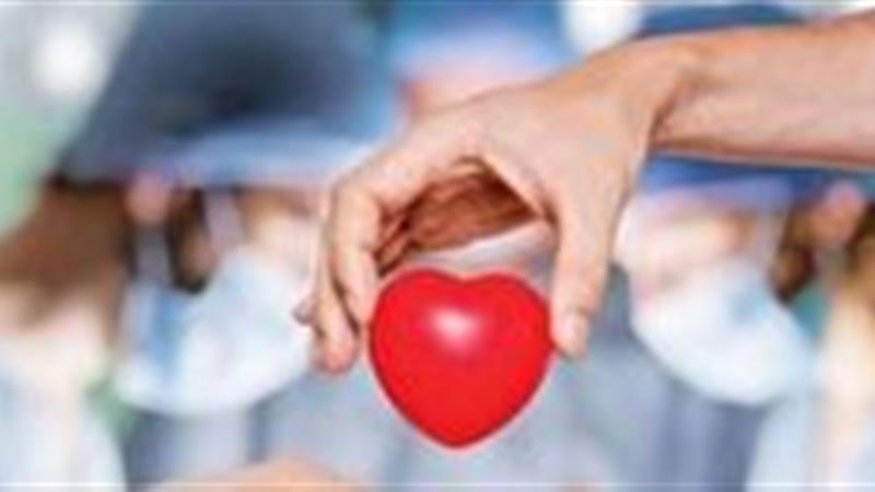 اهدای بیمار مرگ مغزی شیروانی جان سه بیمار را نجات داد