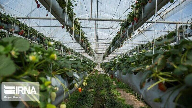 برنامهریزی افتتاح ۱۲۹ طرح کشاورزی استان سمنان به مناسبت هفته دولت