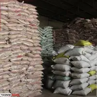 دولت به توزیع برنج وارداتی نظارت می‌کند