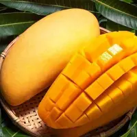 یازدهمین جشنواره انبه و یاسمین گل در میناب برگزار می‌شود