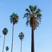 گرما در خوزستان اندکی کوتاه می‌آید