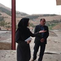 میراث فرهنگی از سرمایه گذاران توانمند حمایت می‌کند