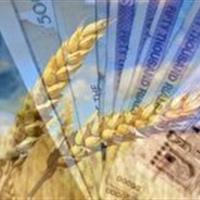 پرداخت ۸۸ درصد مطالبات گندمکاران در خراسان شمالی