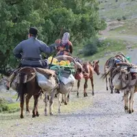 انجام تمهیدات ویژه برای بازگشت عشایر به خوزستان