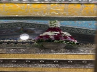 استوری/ هرکسی داد تو رو به جوادت قسم...
