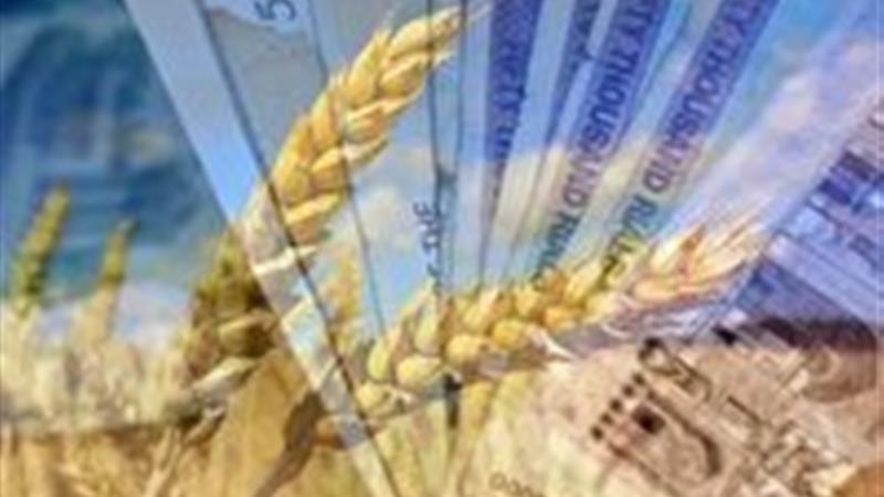 پرداخت ۸۸ درصد مطالبات گندمکاران در خراسان شمالی