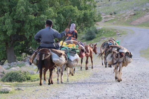 انجام تمهیدات ویژه برای بازگشت عشایر به خوزستان
