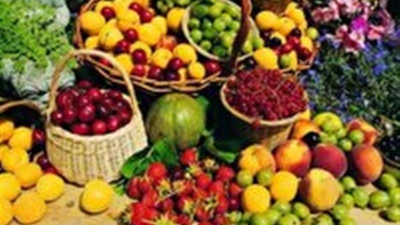 تولید سالانه ۵۰۰ هزار تن محصولات باغی در کردستان