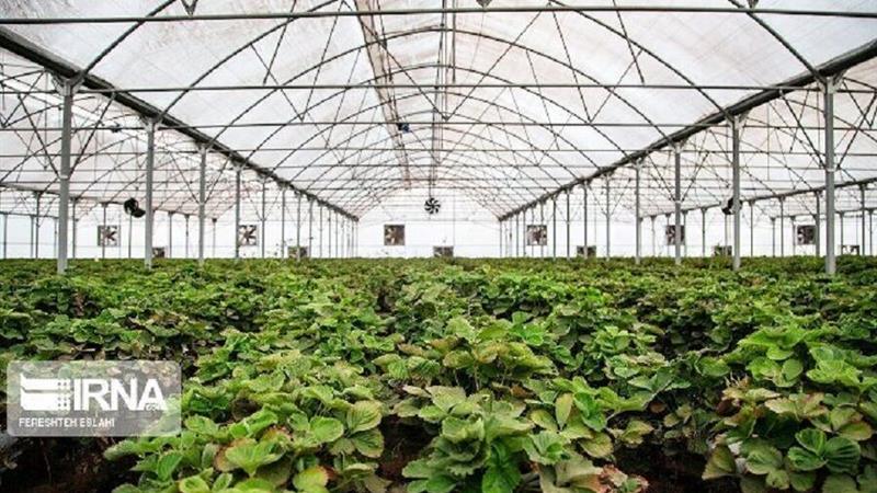 ۶۰ میلیارد ریال برای تامین آب شهرک گلخانهای اسفراین اختصاص یافت