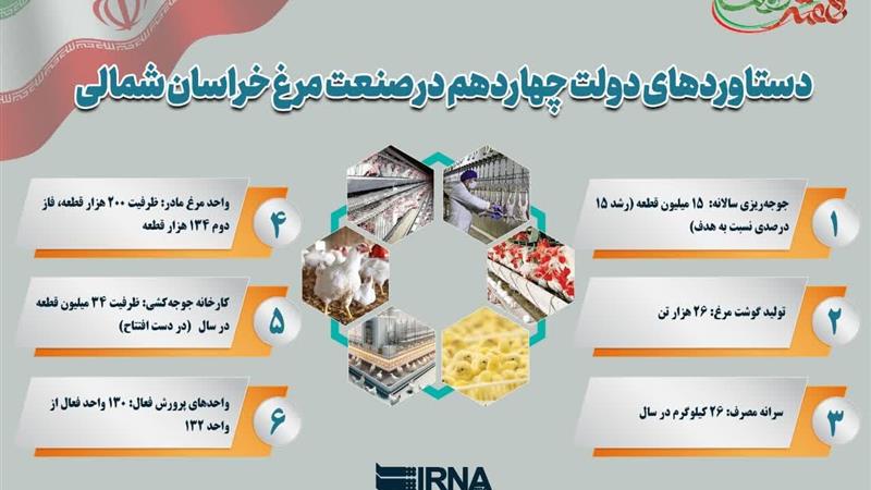 اینفوگرافیک/ رشد چشمگیر صنعت مرغ خراسان‌شمالی در دولت چهاردهم