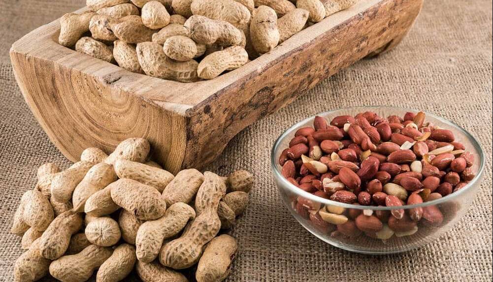 خوردن روزانه این مغز خوشمزه روند پیری را کند میکند