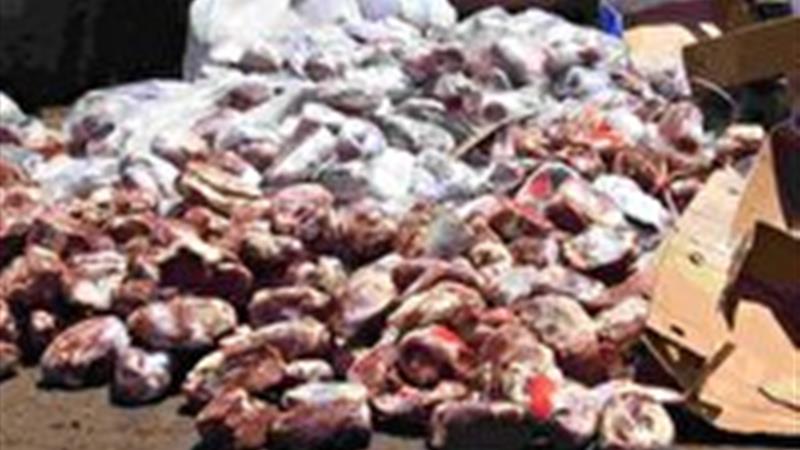 معدوم کردن بیش از یک و نیم تُن مرغ منجمد در شهرستان بیرجند
