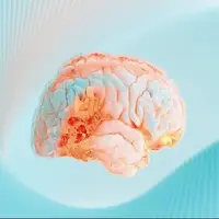نقش کلسترول در عملکرد مغز