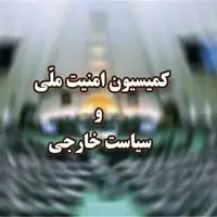 کمیسیون امنیت ملی خطاب به وزارت خارجه و سازمان انرژی اتمی: به قانون مجلس درباره تعلیق همکاری با آژانس عمل کنید