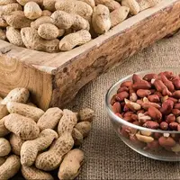 خوردن روزانه این مغز خوشمزه روند پیری را کند می‌کند