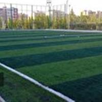 بهره برداری از زمین چمن مصنوعی در بلوار بصیرت پردیسان قم