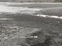 لحظه جاری شدن سیلاب در رودخانه جکدان بشاگرد
