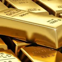 کشف شمش‌های طلای قاچاق در یک استان