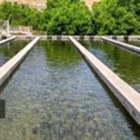تولید ۲ هزار و ۳۶۰ تُن انواع آبزیان در قم
