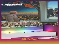 سقوط وحشتناک مجری تلویزیون از روی بشکه!