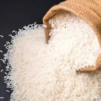 واردات ۸۳۶ هزار تن برنج طی ۵ ماه امسال