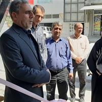 ۴۷ طرح اشتغال مددجویان بهزیستی ایلام راه‌اندازی شد