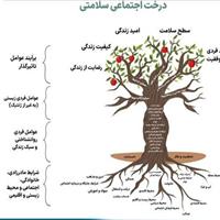 درخت اجتماعی سلامت؛ مدلی نوین برای ترسیم ابعاد چندگانه سلامت