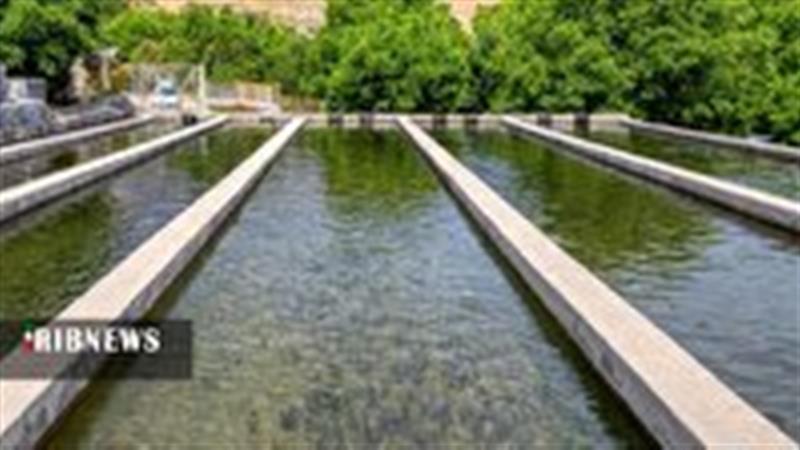 تولید ۲ هزار و ۳۶۰ تُن انواع آبزیان در قم