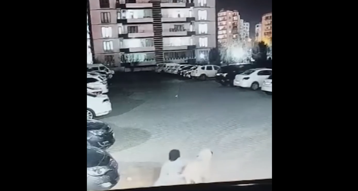 حمله هولناک سگ به یک زن و کودکش!