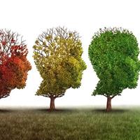 معکوس‌کردن روند پیری مغز با کاهش یک پروتئین