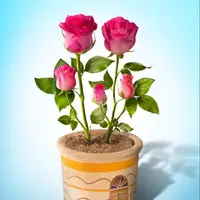 طرح/ مکانی برای آرامش و راحتی 