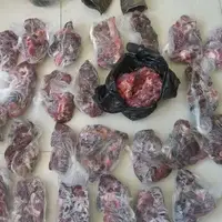 کشف لاشه ۲ راس کل وحشی در دورود لرستان