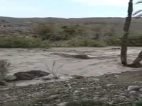 سیلاب خشمگین شاسی‌بلند را با خود برد