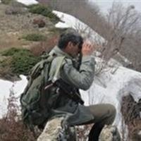 ۲۴ جنگلبان در برابر یک میلیون هکتار طبیعت زنجان