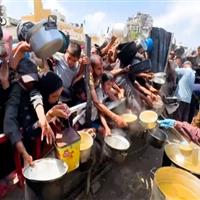 مقام آمریکایی: ابعاد بحران انسانی در غزه غیرقابل انکار است