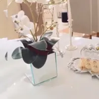 جاگلدونی خوشگل با آیینه!