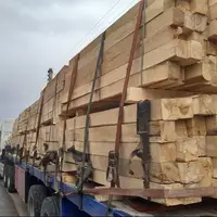 کشف ۱۱ تن چوب جنگلی قاچاق در کرمان