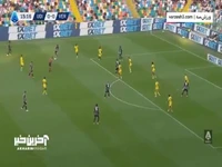 خلاصه بازی اودینزه 1 - هلاس ورونا 1