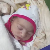 نوزاد عجول بوشهری که امتحان مادرش را نیمه‌تمام گذاشت