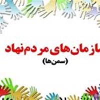 ثبت ۱۸۱ سازمان مردم نهاد در استان زنجان