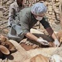 برگزاری اردوی جهادی دامپزشکی در چهار روستای بخش خضرآباد