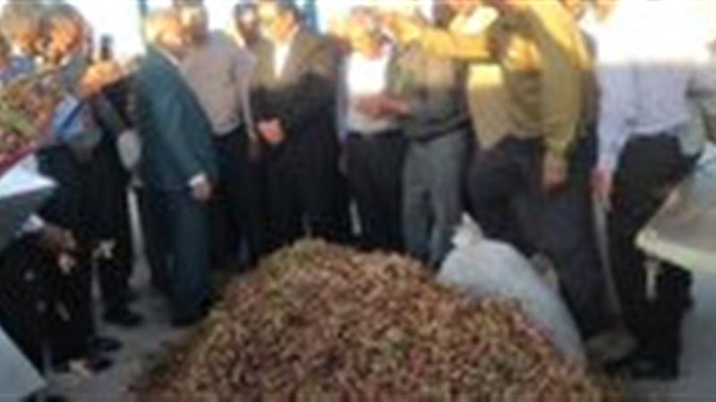 بهره برداری از سومین ترمینال فرآوری پسته در اسفراین